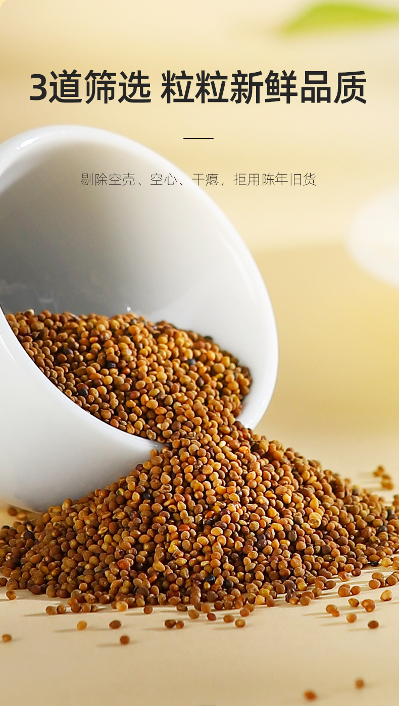 Dried Dodder Seed 250g Round Jar Tu Si Zi Traditional Chinese Herbal Tea Ingredient in use