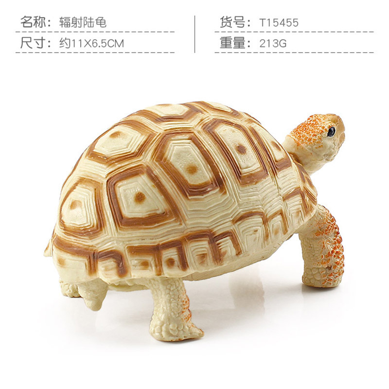 Transfronteriza Nueva simulación anfibio reptil modelo tierra tortuga elefante tortuga estrella tortuga estática decoración cognitiva decoración juguete