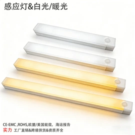 LED应急灯;野营/露营灯;LED球泡灯