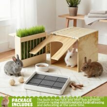 �羳ľ�|���ӸC����\���b[��С�͌���ɲ�ιʳ���๦��ιʳ�C