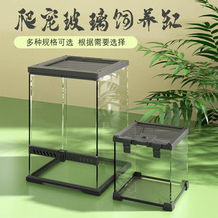 Reptile Glass Tank, Rainforest Tank, Climbing Tank, Hermit Crab Breeding Tank, Gecko Lizard, Snake Horn Frog, Spider Climbing Pet Landscaping