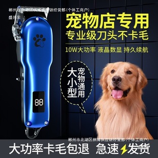 �������ӌ��I��ë��������Ƽ���ë��ë����������Ȯ�����