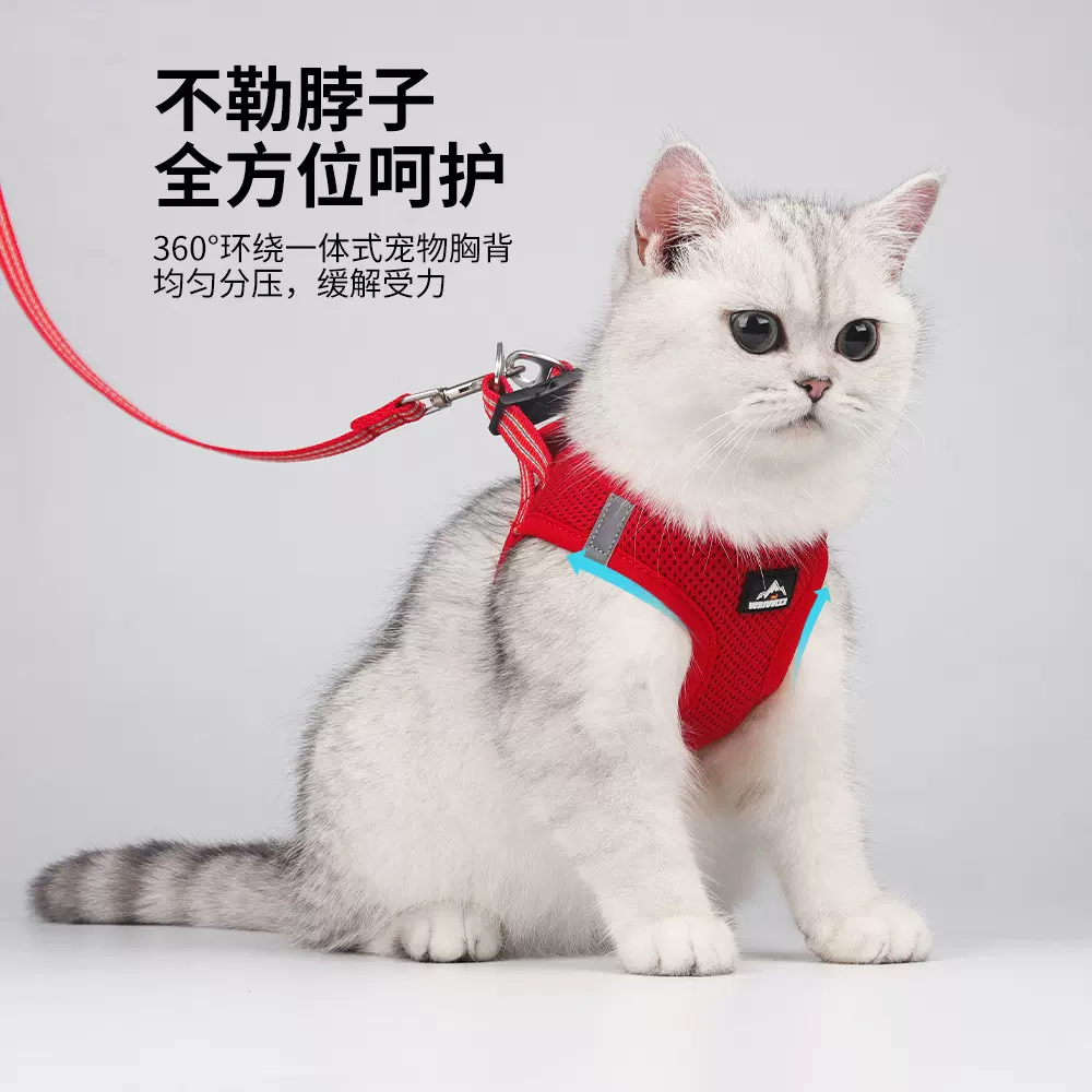 跨境亚马逊猫咪牵引绳 猫狗胸背带小型犬透气网布猫绳子宠物用品
