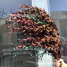 �������ȼ����~ͩ�X���c�Ҿ��b��~�����~����~�����ȼ����~