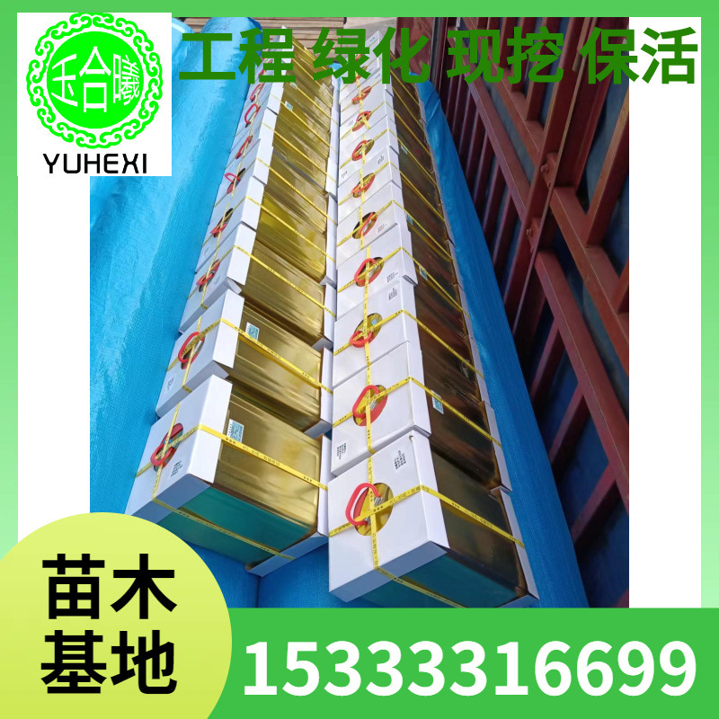 青洲 人造草坪胶水 足球场草坪铺装胶水 人工假草坪连接带粘胶水