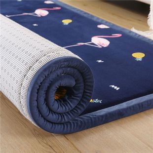 Bedside Anti-fall Floor Mat Tatami Mat Non-slip Four Seasons Cushion Mattress Northeast Big Kang Mat Rural Hot Kang Mattress