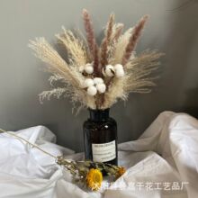 ���W�L�JȔ�ɻ������b[���廨ľ�޻����b���͏d�羳���R�d