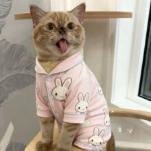 ��⎛�ⳬ�ȴ�������_��һ�w�ɐ�����С��Ȯ؈�䌙���·�