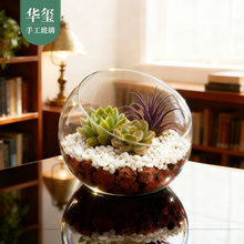 斜口圆形微景观玻璃瓶透明多肉植物diy手工摆件创意生态瓶高硼硅
