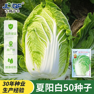 ���쿹����ꖴ�ײ˷N���͟�50���ļ��߲��ﲥ�ͺ��ײ˷N��