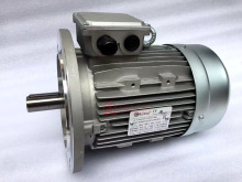 DR drives MOTOVARIO TS100LA4�����Ħ����늙C MOTOR
