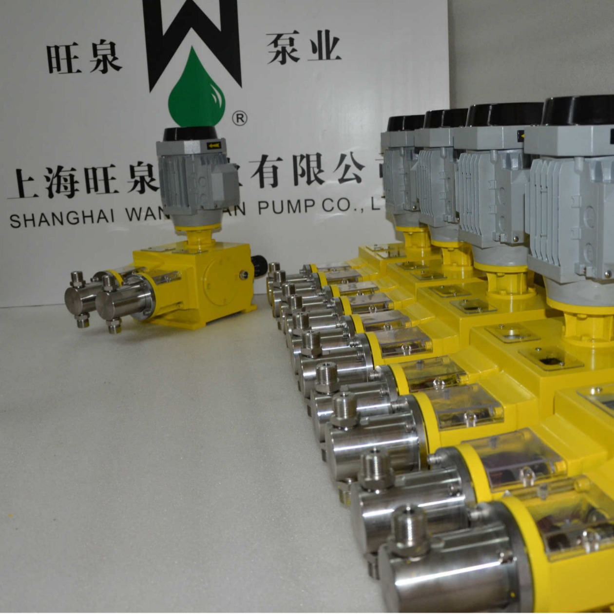 上海旺泉2J-X16/16双头柱塞式计量泵、高精度计量泵、机械柱塞泵