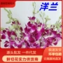 云南布置婚礼团购鲜花