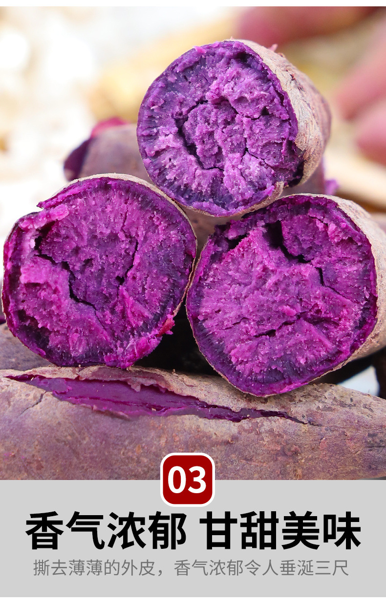 4f6965a5-0307-45bb-a161-17e6dbc9f9e5.jpe