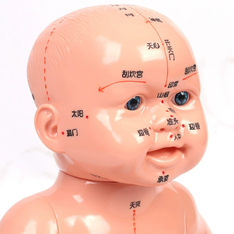 Children's stroller, doll, realistic massager, training