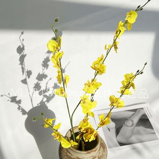 ���滨5�������m�����S�����m �����Y���������bY�üٻ����l