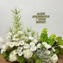 �׾Gɫϵ��c���滨ɭϵ��Y��·�����Ż�ˇ�nʽ��Y�b��c�ٻ�