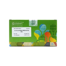 化学发光法RNA EMSA试剂盒