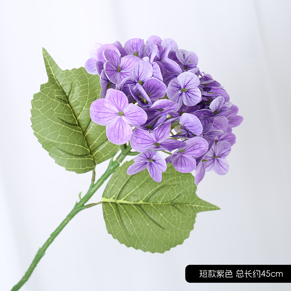 짧은 수국 보라색