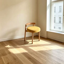 餐椅;沙发椅;折叠椅