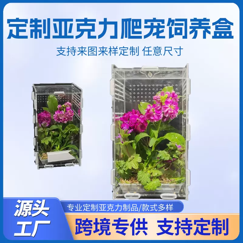 透明亚克力跳蛛围栏 树栖爬宠饲养箱 狼蛛玻璃容器 昆虫栖息地套