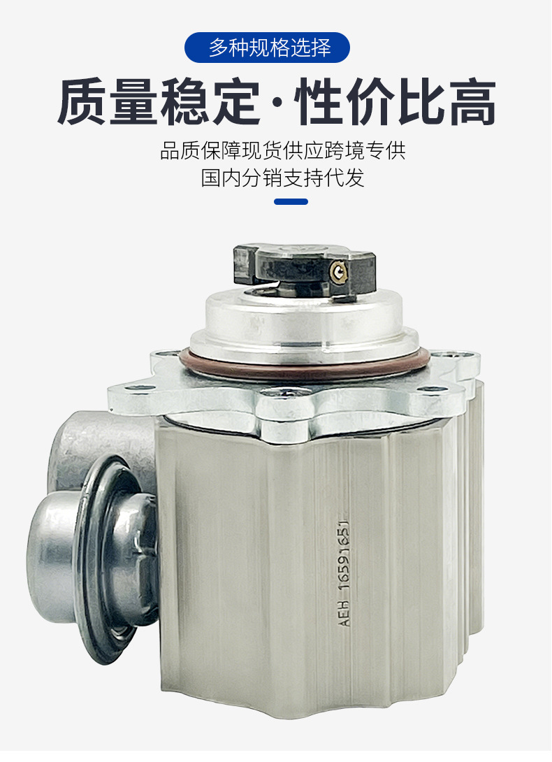 13517573436 13517588879 9819938480 Suitable for Peugeot Fuel Pump, Exclusively for Cross-Border Supply