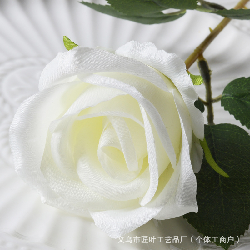 리틀 파리 화이트