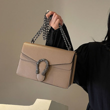 ��Ƥ�ϻ������2025�¿�r�аٴ�朗l�μ�Ҹ�°�Ůʿ�߼�б���