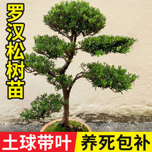 �_�h�ɘ����辰С�~ȸ���䘶ͥԺ���͘�����ӭ�������F�ɘ�Gֲ��