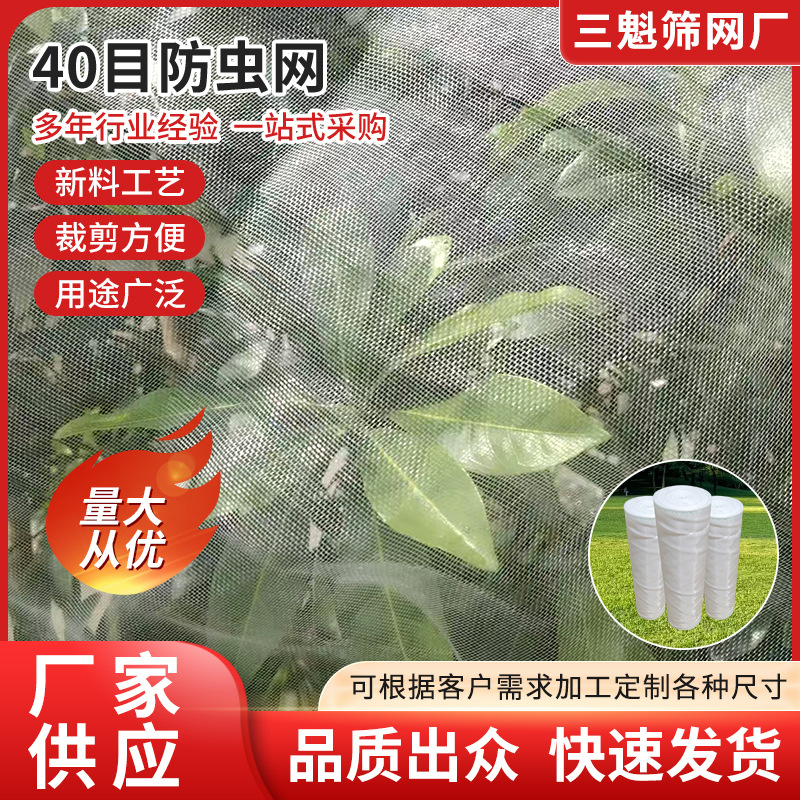 40目防虫网厂果树蔬菜大棚防虫纱养殖场阻蚊农用网罩园艺防尘网
