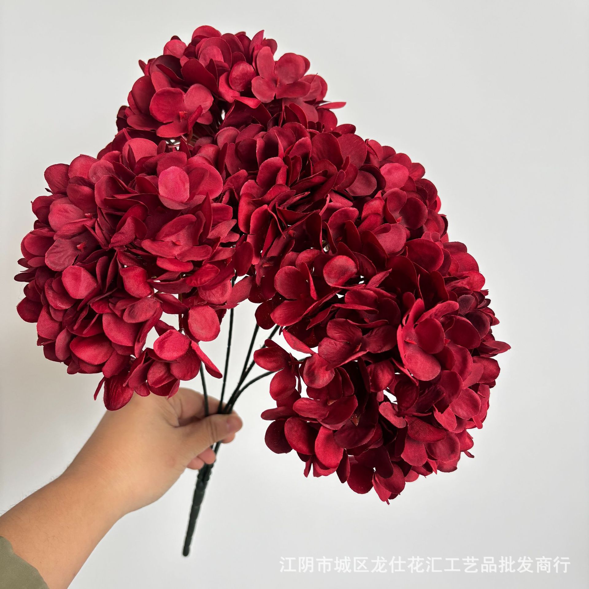 프렌치 수국 5개