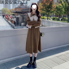 时尚马甲连衣裙两件套装女2025秋秋新款设计感收腰搭配长袖套装裙