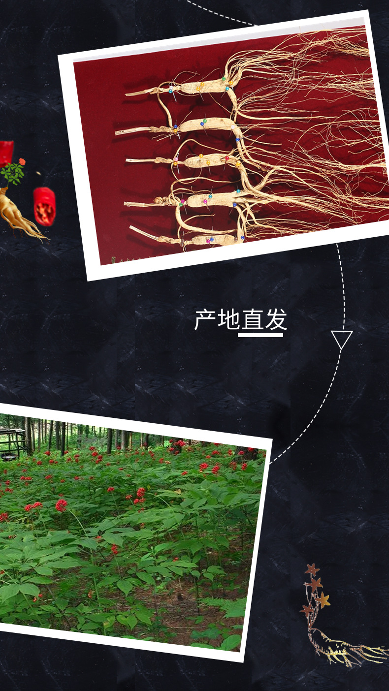 Changbai Mountain Wild-Simulated Ginseng Gift Box Dried Root for Wine Soaking and Traditional Herbal Use key features