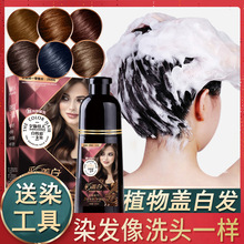 ȾlֲȾlƯwװllꌣȾll