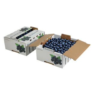 Blueberry Fruit Box Carton Packaging Express Box 5kg Pack Thickeneded Corrugated Super Hard Ventilation Design