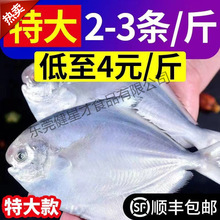 ���r���l���l�S���ك�Ұ�����a���yƽ�~�K�~�|���y�������qɽ�|