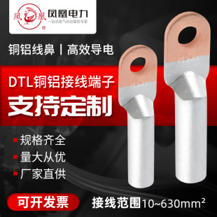 Customized Copper-Aluminum Terminal Block Dtl Size Aperture Round Head Square Head Copper-Aluminum Transition Terminal