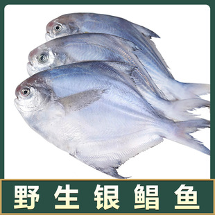 Ұ���y�K�~�K�~������rˮ�a�r��~С�K�~���~ƽ�~�K�c�~���~