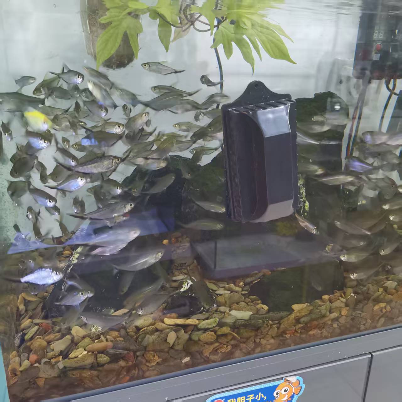 微信图片_20250527113104