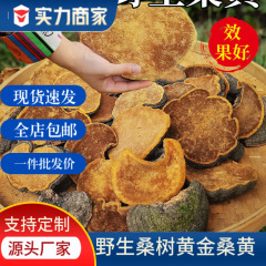 マルベリーマツタケ漢方薬専門品、卸売食品ギフトボックス、ホリデーギフト用ピースギフト、霊芝、大量、価格優良