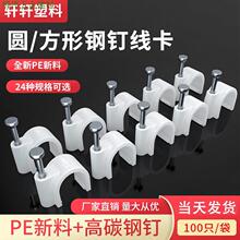 �����������A��늾��̶����� 100���b��|���۾W���۠��