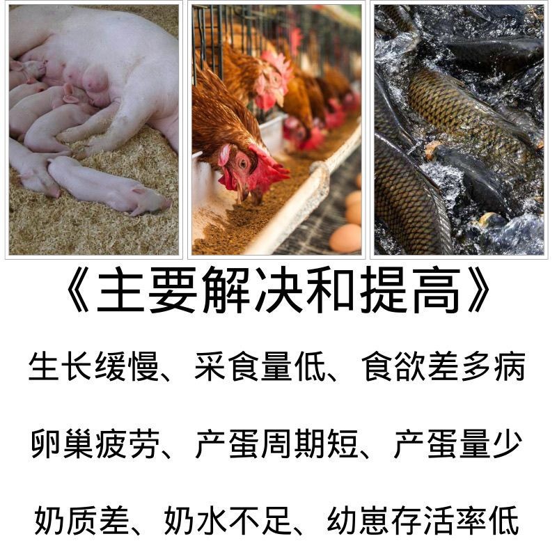 秘鲁进口鱼粉蓝鱼头鱼虾蟹特种水产养殖猪鸡鸭鹅宠物饲料高蛋白