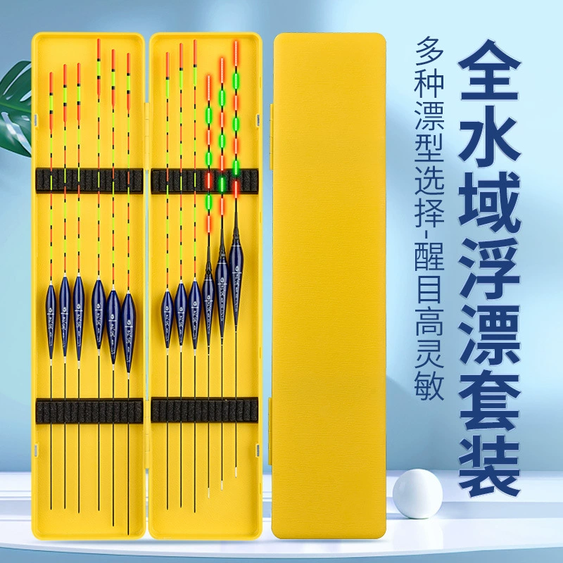 Поплавковый костюм для рыбы, полный комплект, дневной и ночной поплавок двойного назначения, Высокочувствительный, смелый, привлекательный поплавок для дикой рыбалки, поплавок для карпа с легким ртом