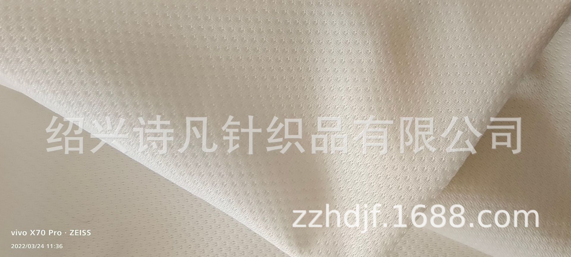 供应针织双鸟眼布