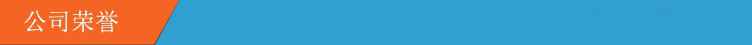 公司荣誉