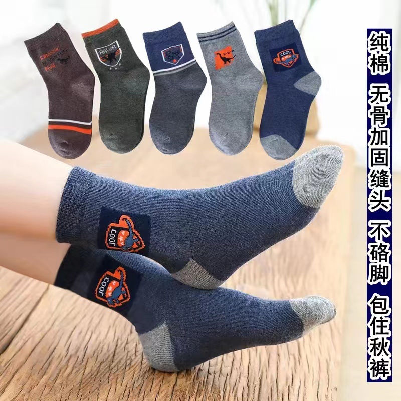 공룡 메달 (5 쌍의 순면 뼈없는)