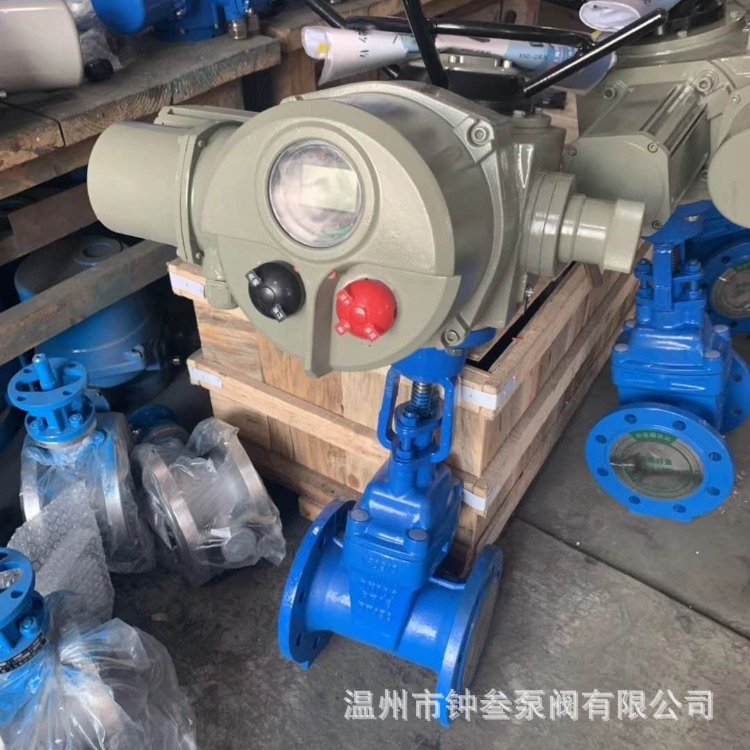 Z945X-10P 电动不锈钢闸阀 DN100 开关型304软密封法兰闸阀 Z945X