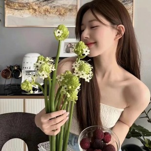 Internet Celebrity Flowers Velvet Zhao Lusi Takes Photos with the Same Flowers Living Room Dining Table Bedroom Decoration Furnishings Yunnan Wholesale