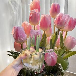 �M��������N��ˮ�໨��ֲ���҃Ȼ��ļ��_���N�����Ի�������ˮ�B