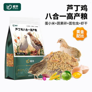 �J���u������Ϯa���µ��Zʳ�����߲����_�����u���r�R���uʳ�Z